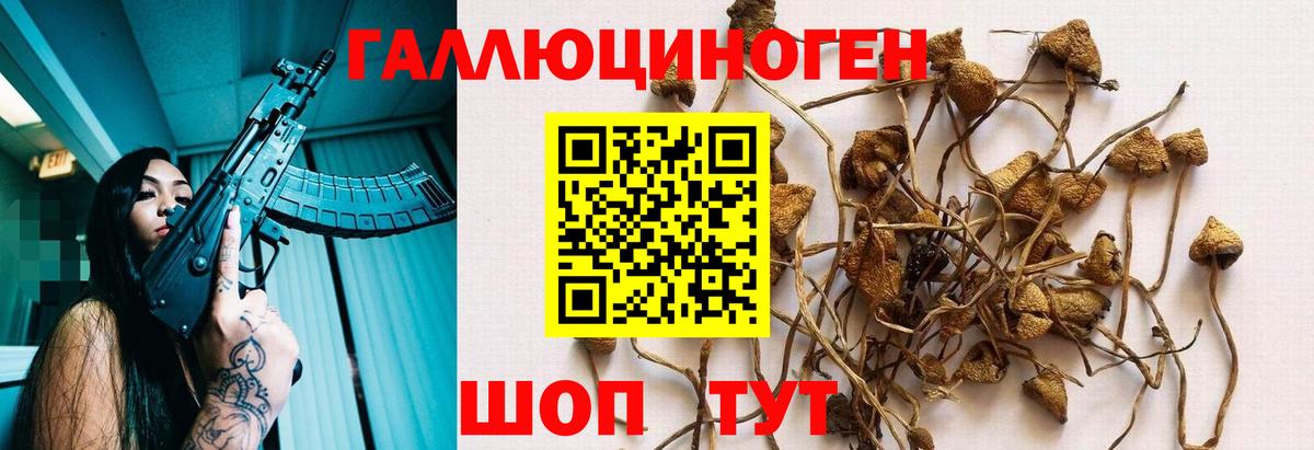 Галлюциногенные грибы прущие грибы  Псилоцибиновые грибы MAGIC MUSHROOMS  Тосно  Вход с VPN 
